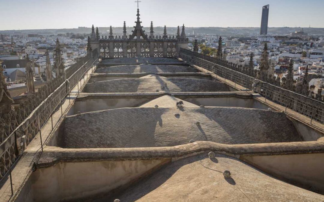 VISITA NOCTURNA GUIADA A LAS CUBIERTAS DE LA CATEDRAL DE SANTA MARIA DE LA SEDE