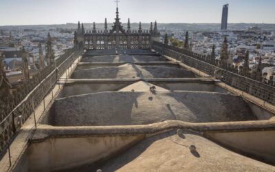 VISITA NOCTURNA GUIADA A LAS CUBIERTAS DE LA CATEDRAL DE SANTA MARIA DE LA SEDE