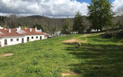 Alojamiento Sierra de Aracena