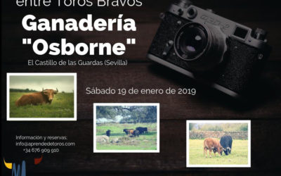 I Curso de Iniciación a la Fotografía entre Toros Bravos