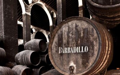 VISITA A SANLÚCAR DE BARRAMEDA 2025
