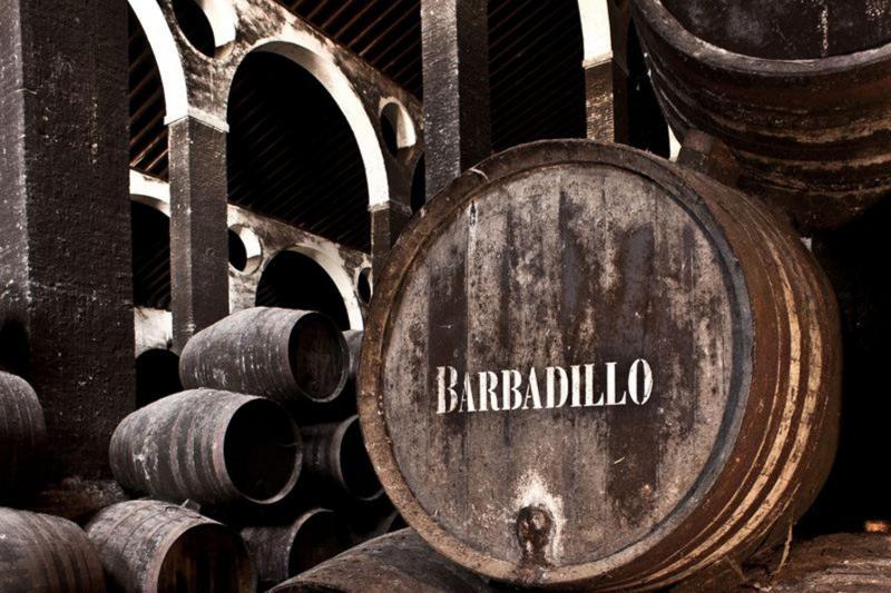 VISITA A SANLÚCAR DE BARRAMEDA 2025